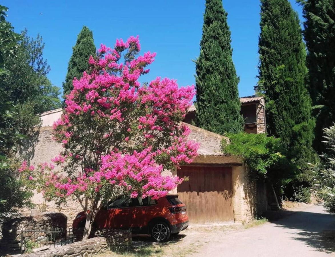 Maison 1643 Laudun Bagian luar foto
